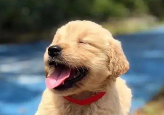 ��ë������ô�