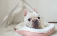 �������ص�4���������