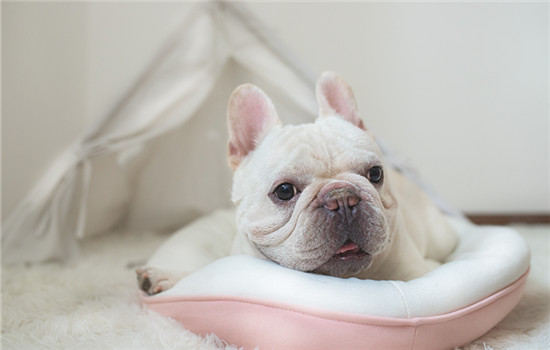 �������ص�4���������