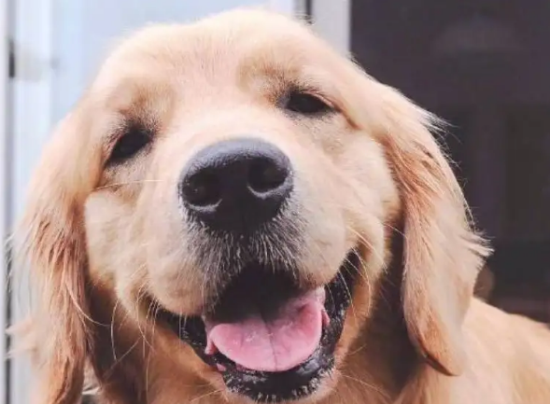 ��ë��������Щ