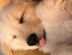 ��ë������������ձ�