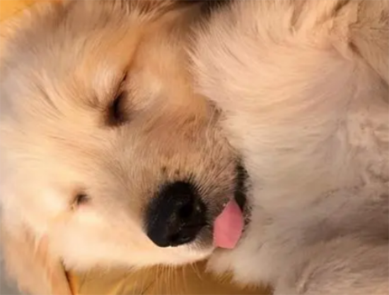 ��ë������������ձ�