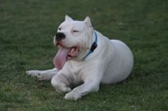 ����������ƨ�ɵ�ԭ����ʲô��