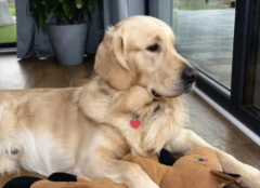 ��ë1��24���¹���ͼ