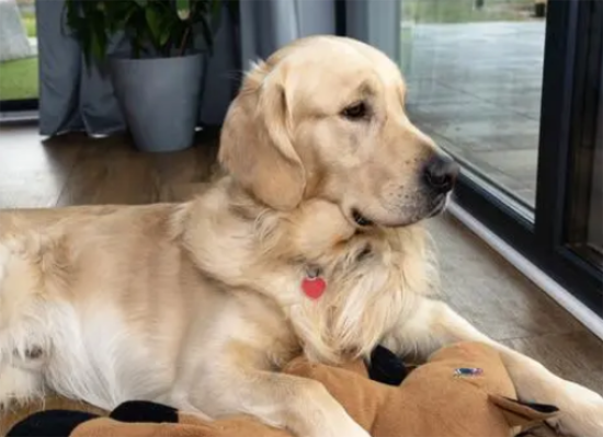 ��ë1��24���¹���ͼ