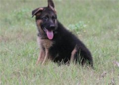 ������Ȯ���ι����