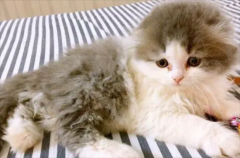 èèΪʲô���ɾ���