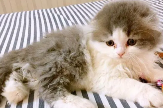 èèΪʲô°®¸É¾»£¿