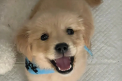 ��ë��ҧ����