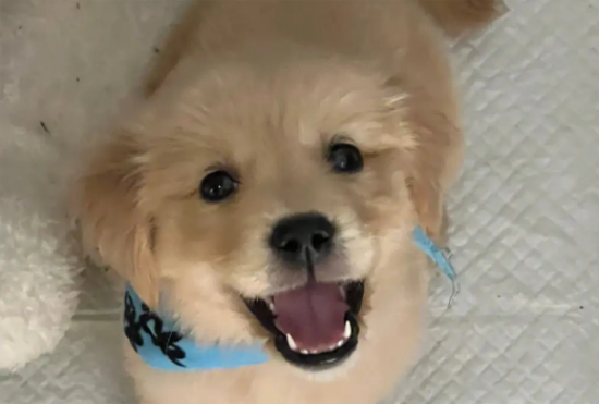 ��ë��ҧ����