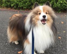 ��ȮҪ��ô����?