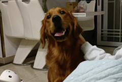 ��ë����������ʼ���