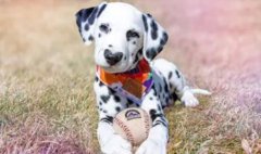 ����֮�����Ϊ�������÷�����ʩ