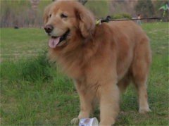 Ů������ëʲô����