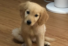 ��ë��Ȯ��ôι��