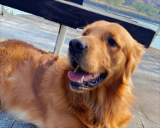 ��ë����ǰ��15������