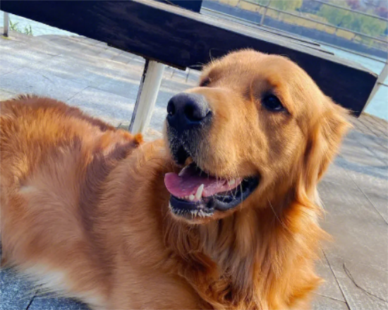 ��ë����ǰ��15������