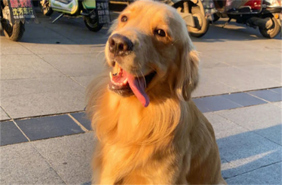 ��ë���ɴ�Ҫ���