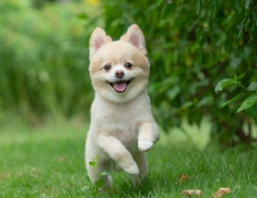 �����೤ʱ������һ�Σ�