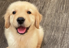 ��ë���������ڼ�