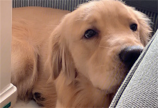 ��ë���������˻���