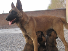 ��ë�ӽ�����6�´�