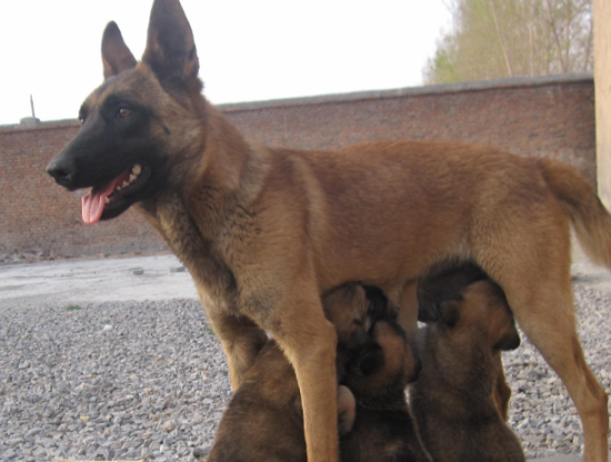 ��ë�ӽ�����6�´�