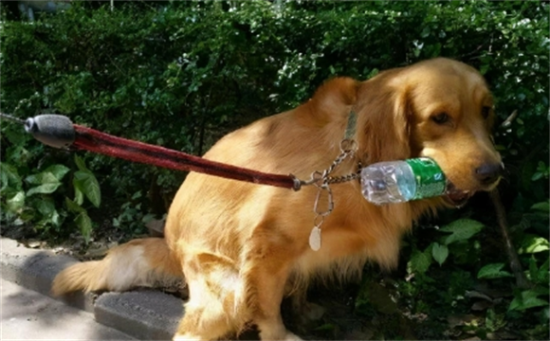 ��ë��ʲôȮ��