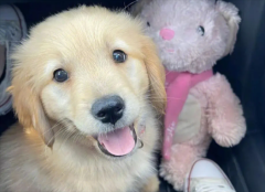 ��ë�����¾Ͳ�������