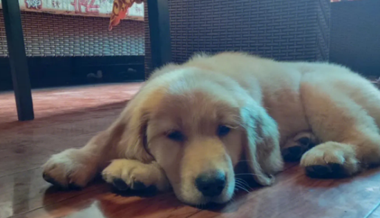 ��ë�����¿�ʼ�ͳ�