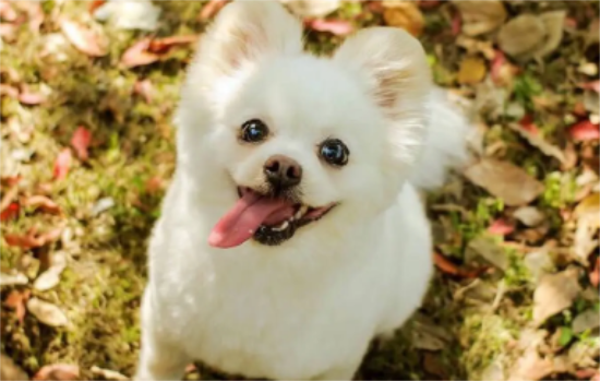 С��������ô�����