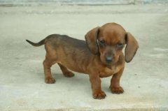 ����Ȯ��Ȯ��ιʳ����