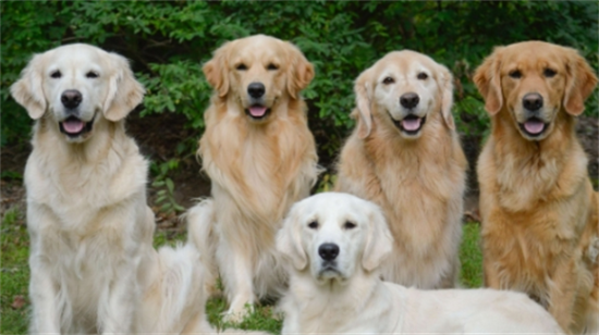 �����ëһ�ٵ�ʳ��