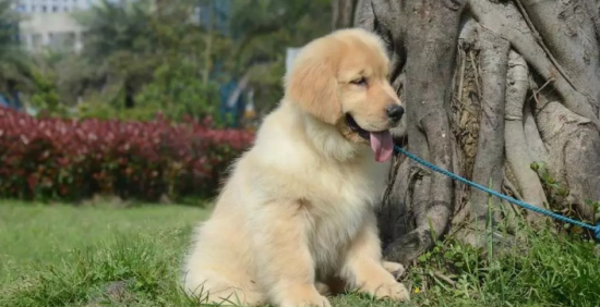 �����µĽ�ë��ôι��