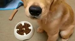 50��Ľ�ëһ�ٳԶ��ٹ���