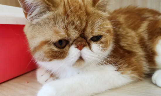 èë������ô�죿