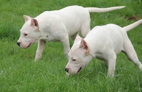 �ճ�ι��������ע������