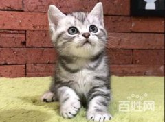 è�������Ƕ�����?