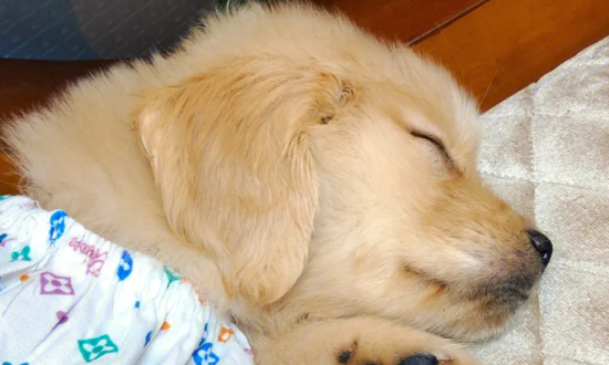 ��ë��ë������