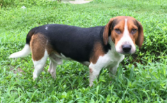 ��ô���ѹ�ѵ���ĺܰ�����