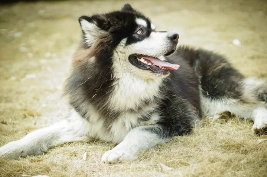 �����䷢��ʲô֢״