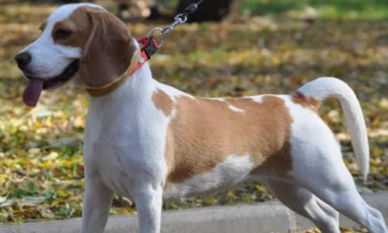 �ȸ�Ȯ��ô�������������㼸�㽨��