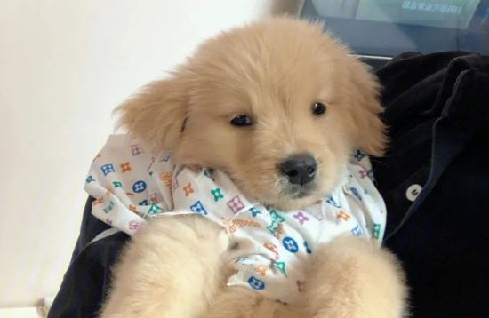 ��ë���Ͳ���Ƥ��