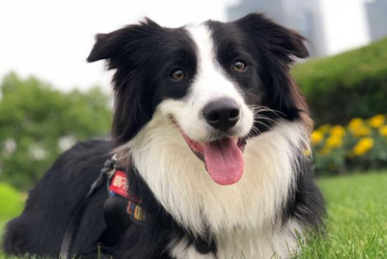 �߾�����Ȯ��ô���� 