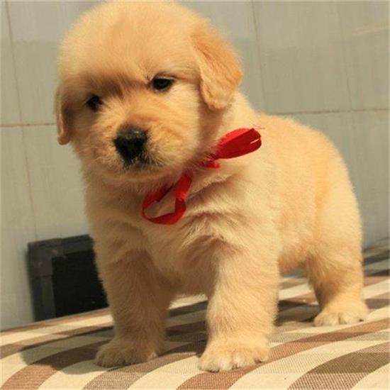 ��������ѡ�·�Ҫע������