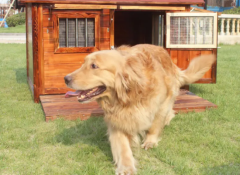 �������ֺ���ô�����ܿ��������ˣ�