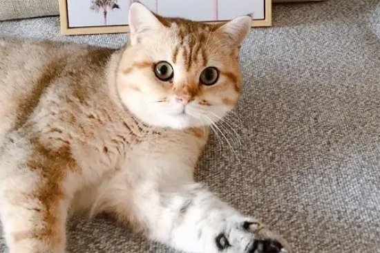 è��ϲ���걻����ô��