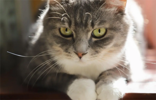 ��è��ҧ����ô����