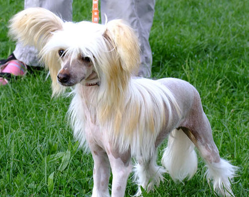 ĸ��������������ô����