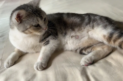 è�����������